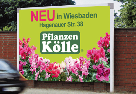 Pflanzen Kölle